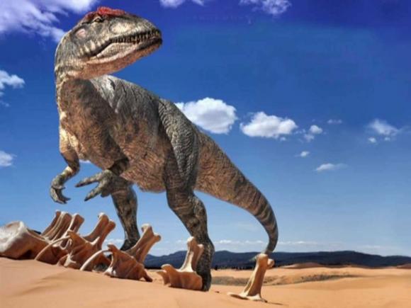 La extinción de los seres vivos y la importancia de la biodiversidad