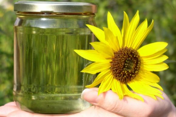 Combustibles ecológicos