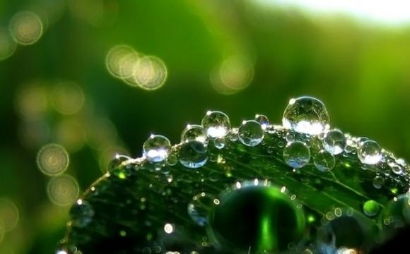 Un material que repele líquidos.