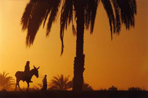 El anciano y el niño