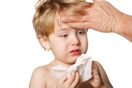 Gripe o Influenza: Todo lo que se debe saber