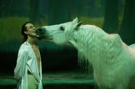 A este caballo solo le falta hablar