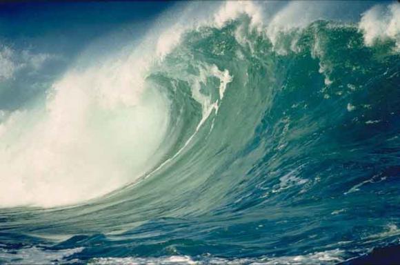 La creyeron muerta tras tsunami en 2004, pero aparece 7 años después