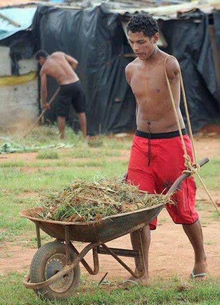 Un verdadero ejemplo de vida