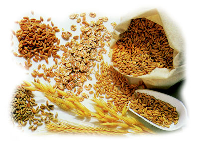 Fibra alimenticia: vital para la salud