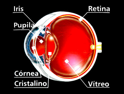 ¿Que puede causar un desprendimiento de retina?