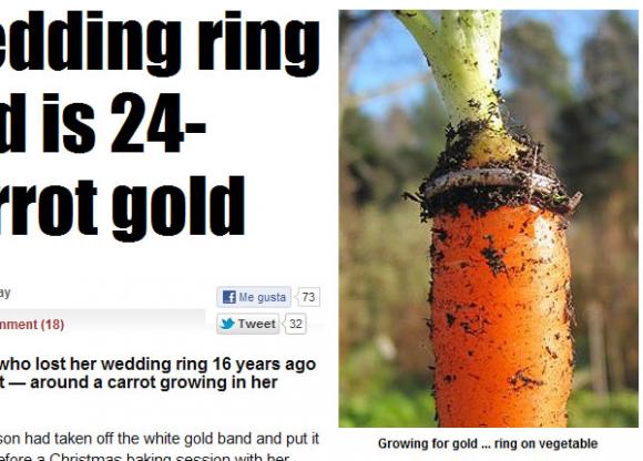 Encuentra su anillo de bodas perdido alrededor de una zanahoria