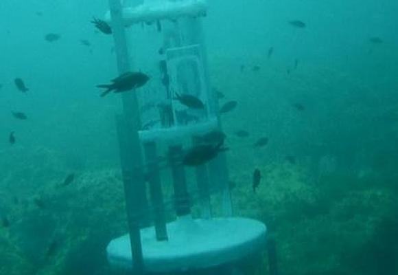 Un inventor catalán halla por casualidad una forma de energía limpia y barata