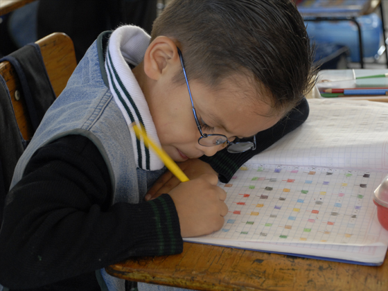 Programa ProNiño – Proyecto: “Erradicación del Trabajo Infantil”