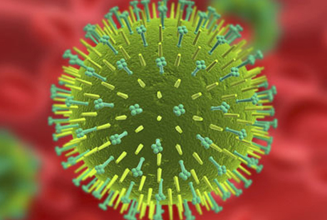 Google Flu Trends vigila la gripe.