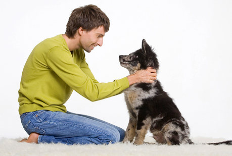 ¿Los perros nos comprenden?