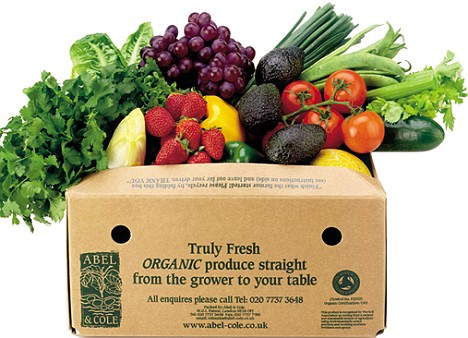 ¿Qué son los alimentos orgánicos?