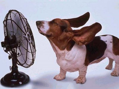 A cuidarse del sol y del calor