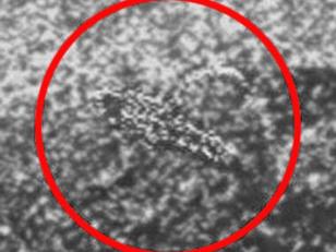 Científico ruso muestra video y dice que hay vida en Venus