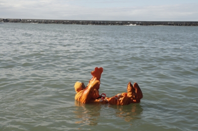 Desarrollan en Argentina un novedoso traje de salvamento