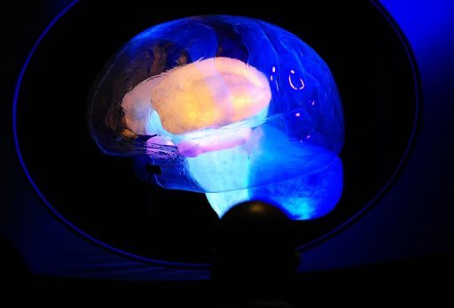 Los científicos decodifican cómo el cerebro ´escucha´ las palabras