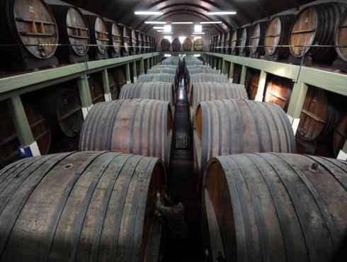 Investigadores Argentinos elaboraron un método científico que permite obtener la “huella dactilar” de los vinos tintos