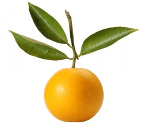 La bergamota es especial para dar ánimos, vitalidad y alegría.