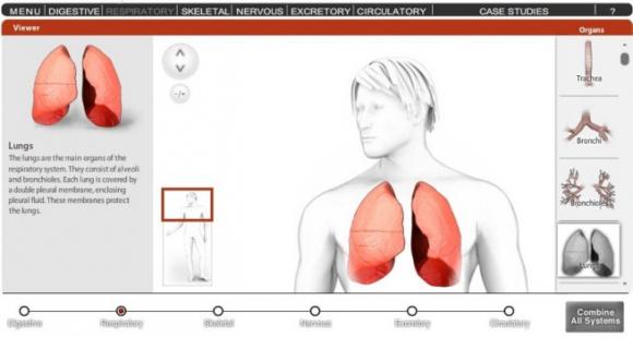 Aplicación Web para construir un cuerpo humano.