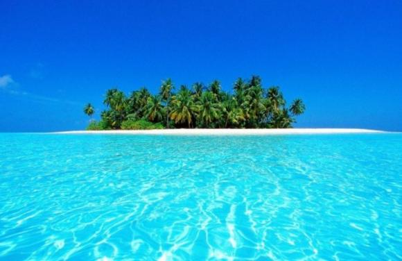 Ecosistemas en las profundidades del Mar Caribe