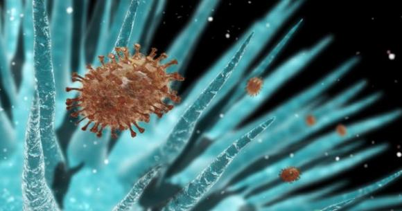 El virus de la gripe