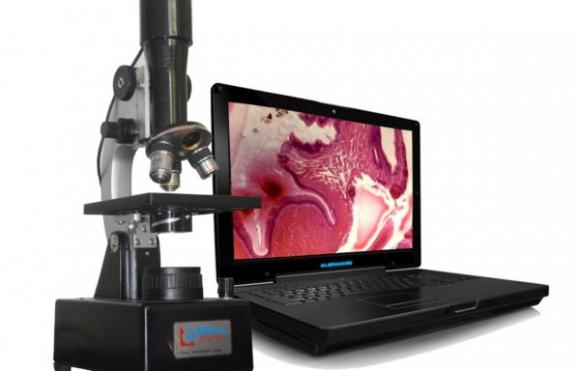 Los descubrimientos científicos más interesantes