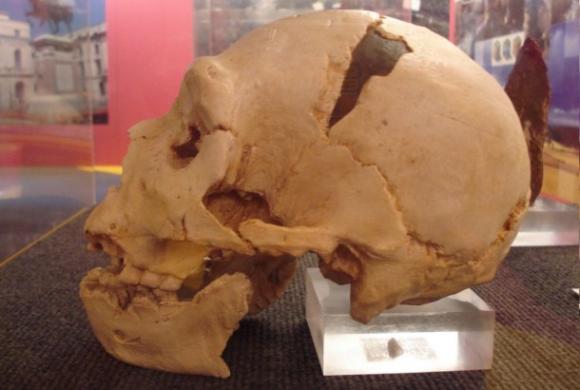 El cerebro de los Neandertales se desarrollaba de manera diferente que el nuestro