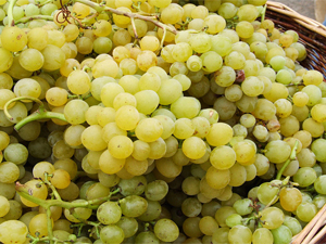 Vino de alto voltaje.
