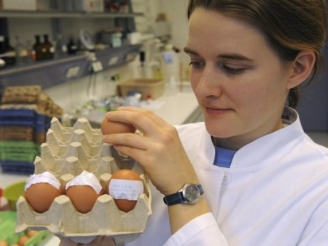 Un sensor para detectar alimentos contaminados