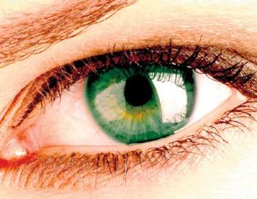 Tratamientos naturales para la Conjuntivitis.