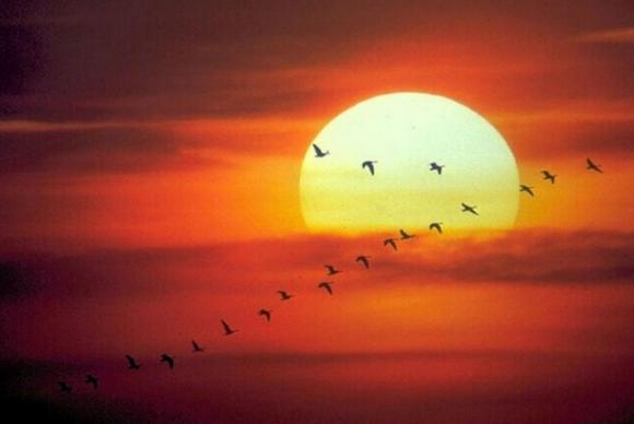 Riesgo de una tormenta solar.