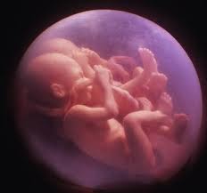 Madre de mellizos vence cáncer de mama sin someterse a aborto