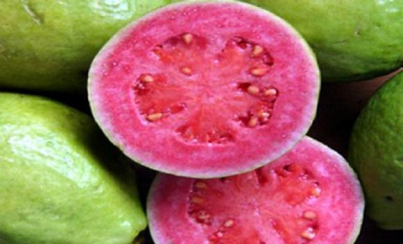 Investigadores Argentinos descubren compuestos bioactivos en frutos regionales