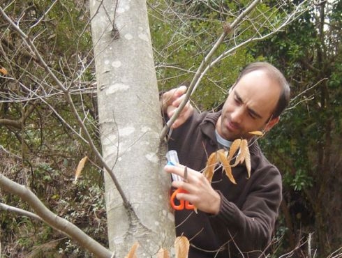 Investigadores Argentinos hallan sustancia que filtra rayos UV