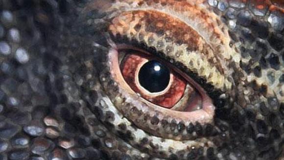 Los dragones sí existen.