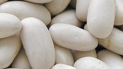 Nutrientes: el hierro en nuestro organismo