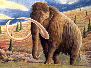 En España hacía tanto frío como en Dinamarca.