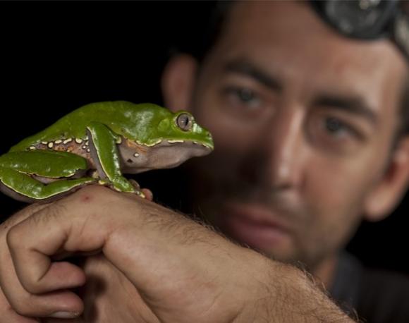 Descubren 365 especies nuevas en Perú.