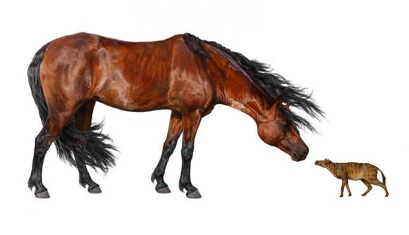 El calor encogió a los antiguos caballos