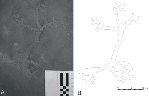 El arte más antiguo y primitivo de América