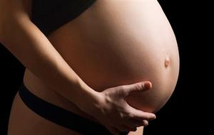 Cientifícos Argentinos develan un enigma del embarazo‏