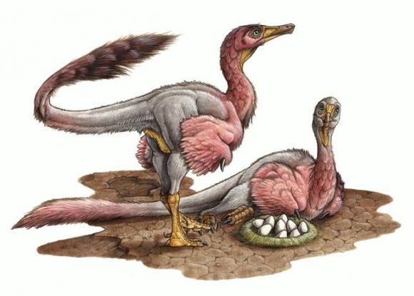 Investigadores Argentinos encuentran una nueva especie de dinosaurio con sus huevos