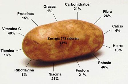 Cientificos Argentinos estudian cómo aumentar los polifenoles saludables en la papa, a fin de prevenir enfermedades complejas como cáncer o diabetes