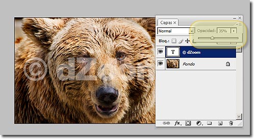 Cómo borrar / quitar marcas de agua de fotografías / imágenes. [Recopilación de varios métodos]+[Adobe Photoshop CS3 Portable]