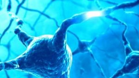 Nueva droga para el tratamiento de los síntomas de la enfermedad de Huntington