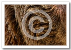 Cómo añadir una Marca de Agua con Photoshop en tus Fotos