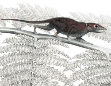 Hallan a la ´tatarabuela´ de todos los mamíferos placentarios.