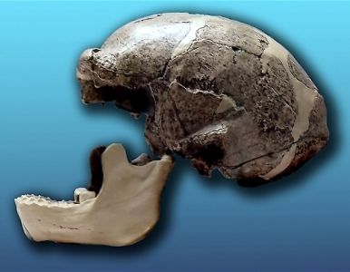 El cambio climático, posible herramienta de nuestra evolución.