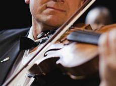 Tela de araña para fabricar cuerdas de violín