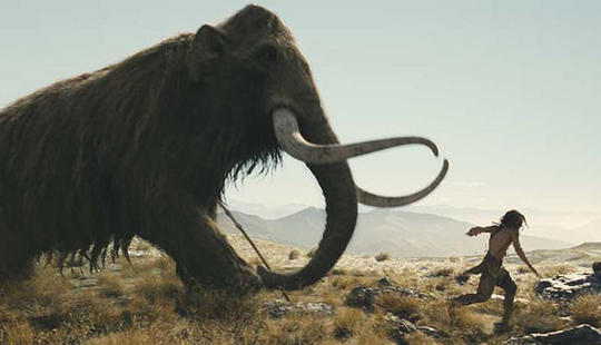 El hombre tuvo parte de culpa en la extinción del mamut.